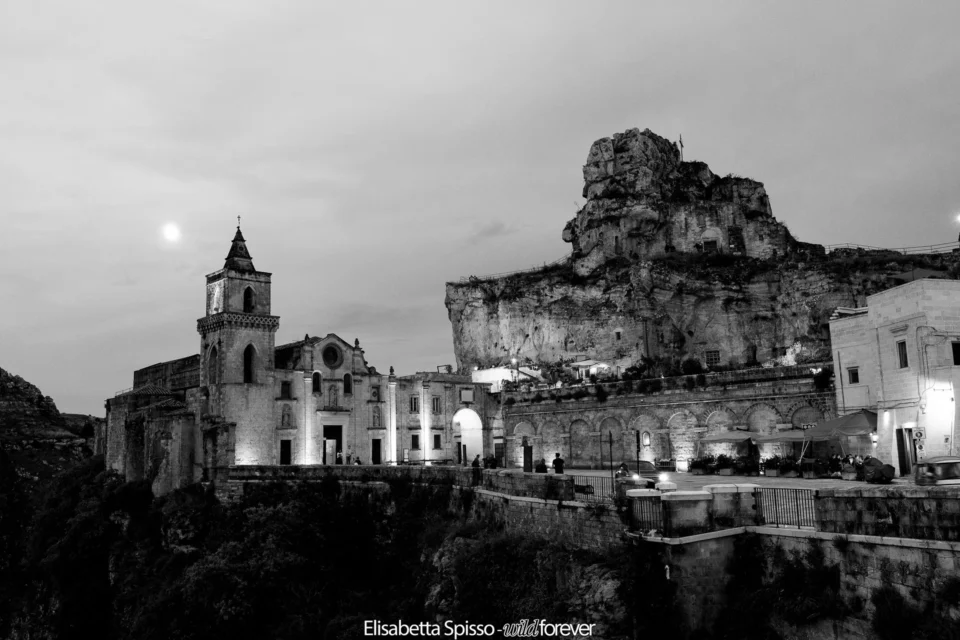 Bianco e nero – fotografia di Elisabetta Spisso