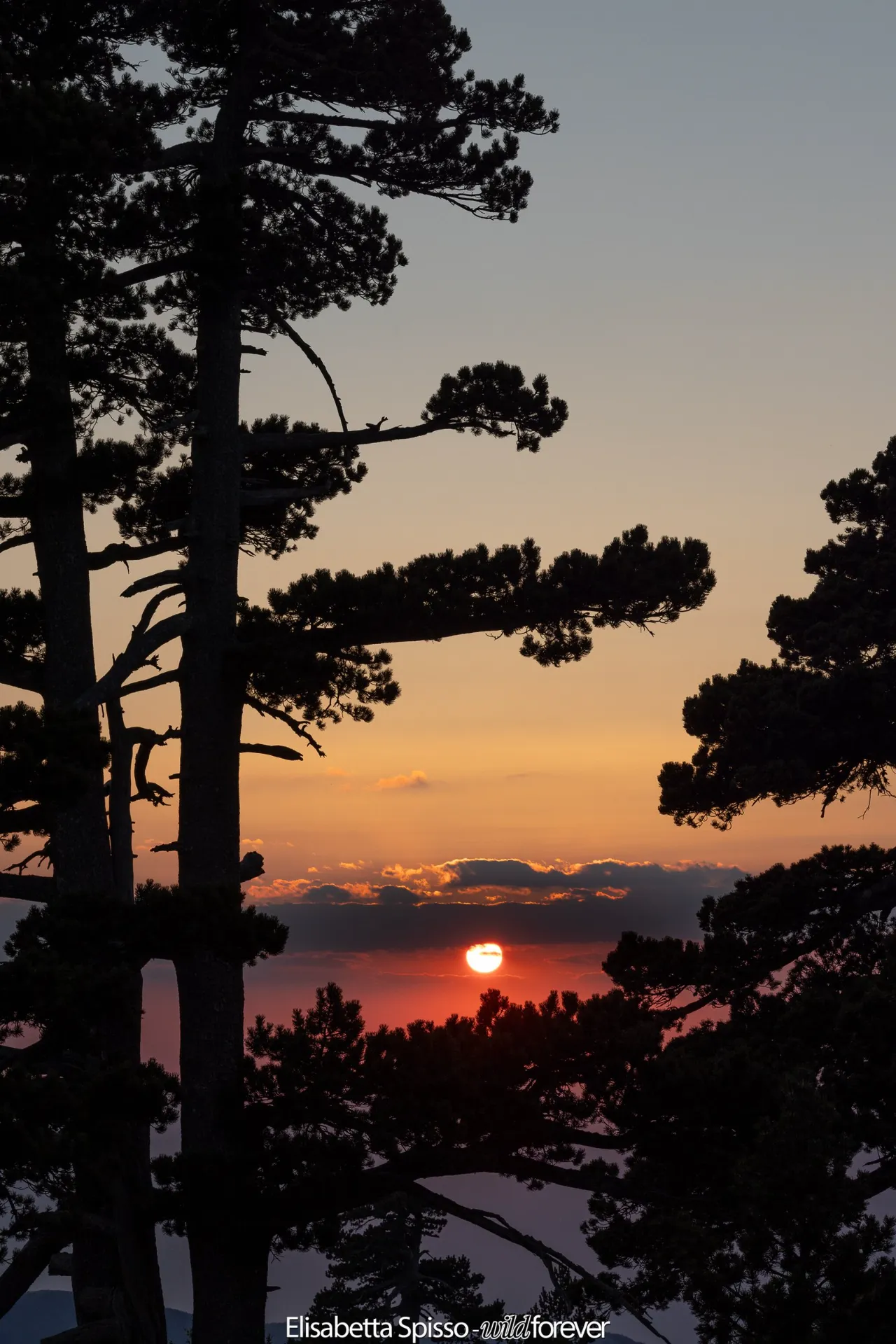 Parco nazionale del Pollino – fotografia di Elisabetta Spisso