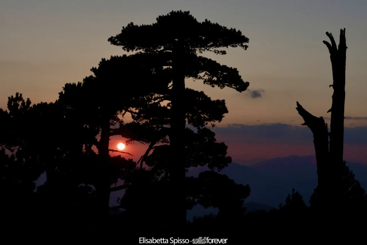 Parco nazionale del Pollino – fotografia di Elisabetta Spisso