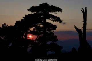 Parco nazionale del Pollino – fotografia di Elisabetta Spisso