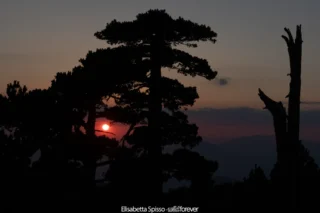 Parco nazionale del Pollino – fotografia di Elisabetta Spisso