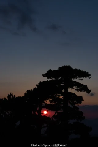 Parco nazionale del Pollino – fotografia di Elisabetta Spisso