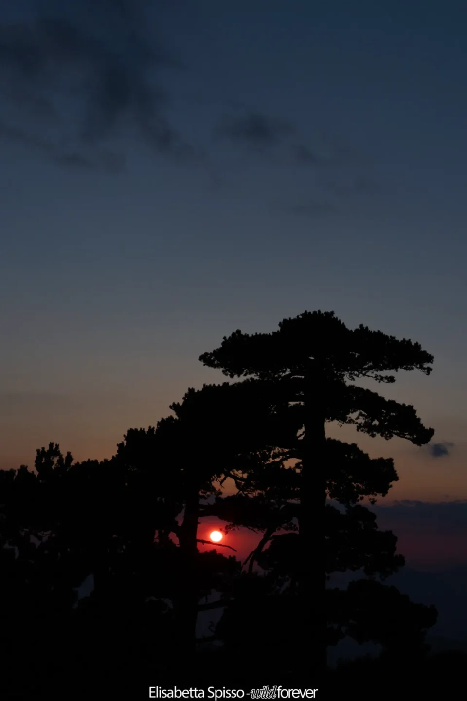 Parco nazionale del Pollino – fotografia di Elisabetta Spisso