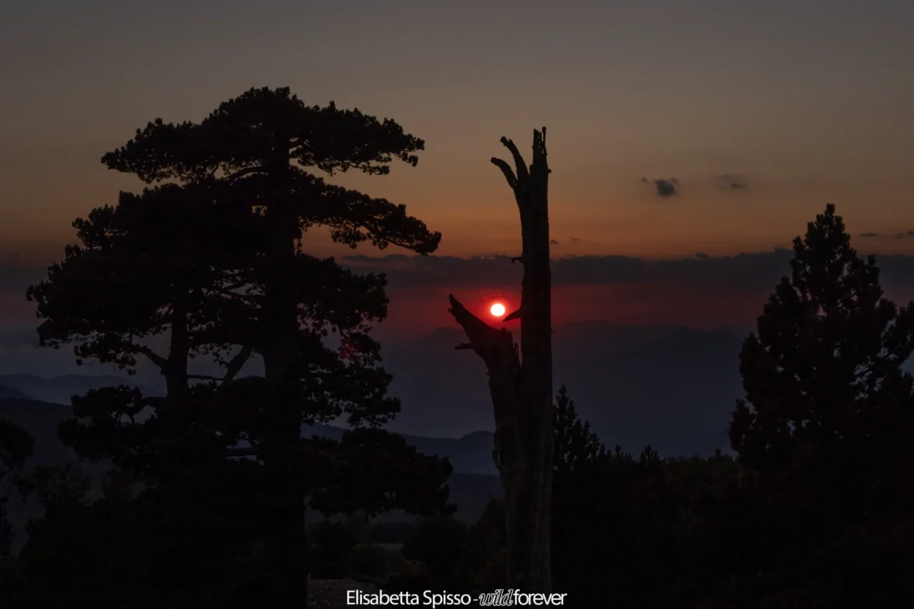 Parco nazionale del Pollino – fotografia di Elisabetta Spisso