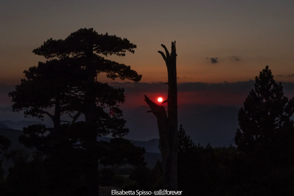 Parco nazionale del Pollino – fotografia di Elisabetta Spisso