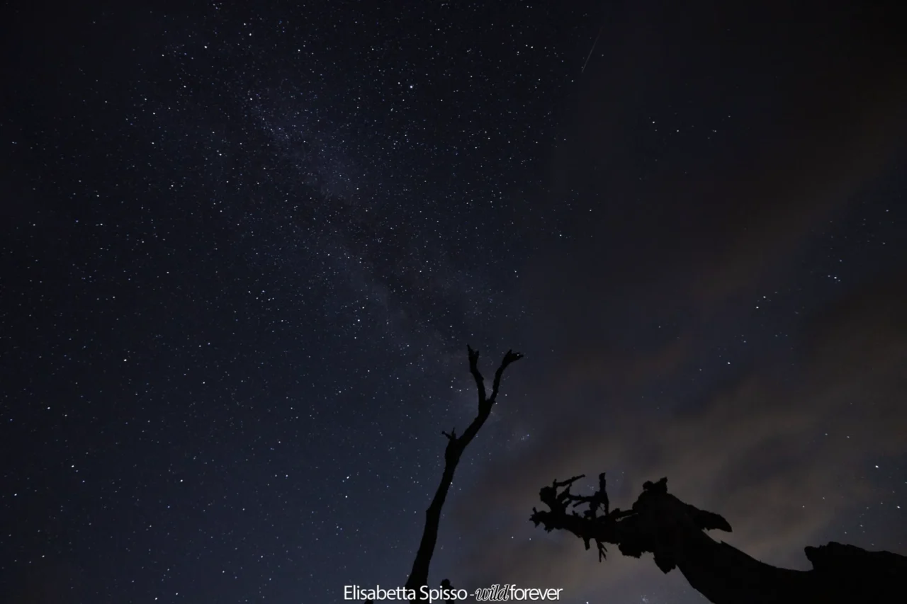 Parco nazionale del Pollino – fotografia di Elisabetta Spisso