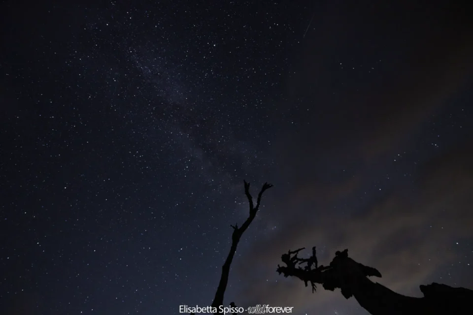 Parco nazionale del Pollino – fotografia di Elisabetta Spisso