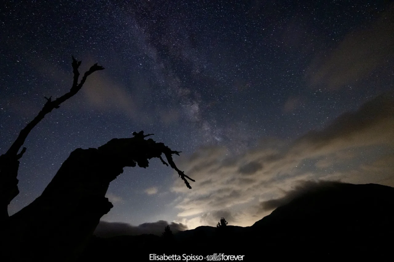Parco nazionale del Pollino – fotografia di Elisabetta Spisso