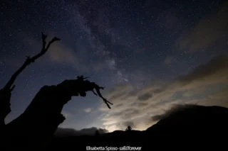 Parco nazionale del Pollino – fotografia di Elisabetta Spisso