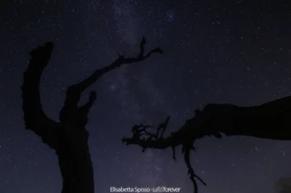 Parco nazionale del Pollino – fotografia di Elisabetta Spisso