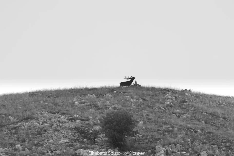 Abruzzo – fotografia di Elisabetta Spisso