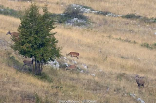 Abruzzo – fotografia di Elisabetta Spisso