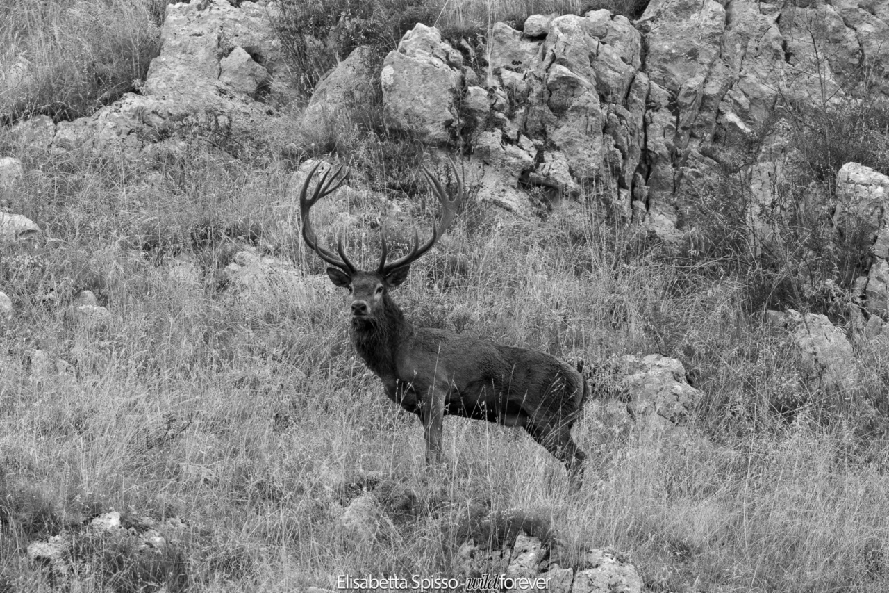 Abruzzo – fotografia di Elisabetta Spisso