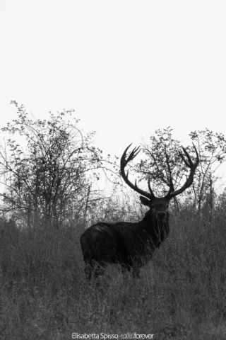 Abruzzo – fotografia di Elisabetta Spisso