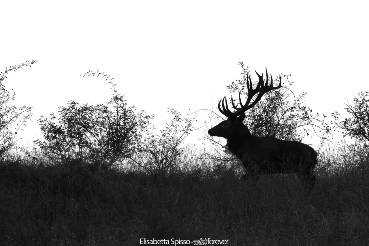 Abruzzo – fotografia di Elisabetta Spisso