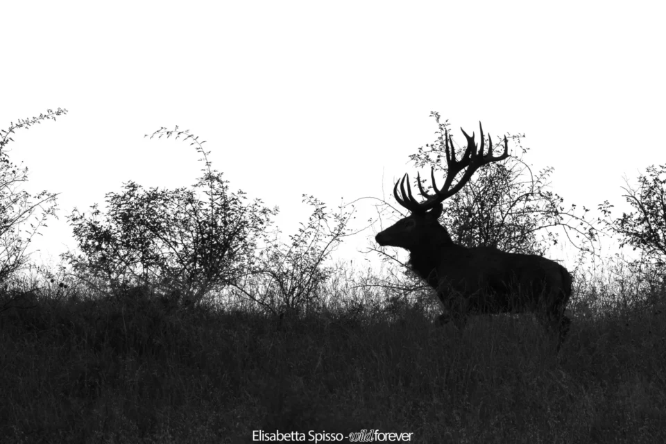 Abruzzo – fotografia di Elisabetta Spisso