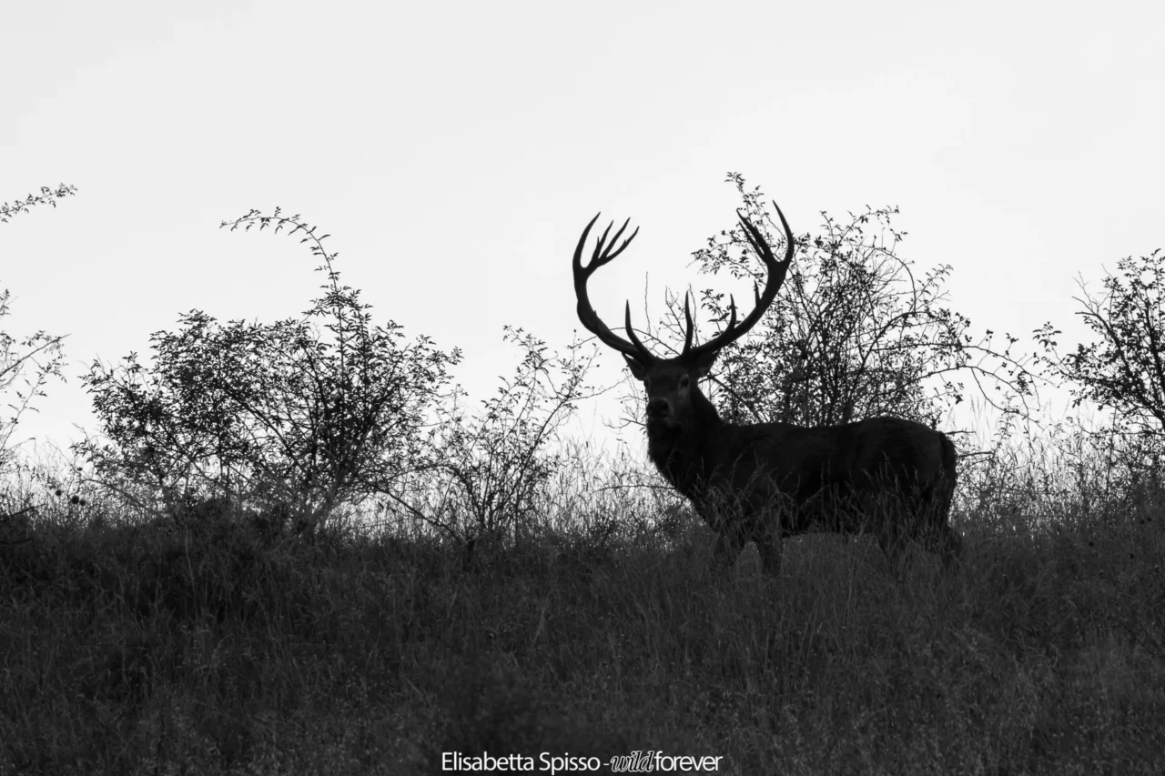 Abruzzo – fotografia di Elisabetta Spisso