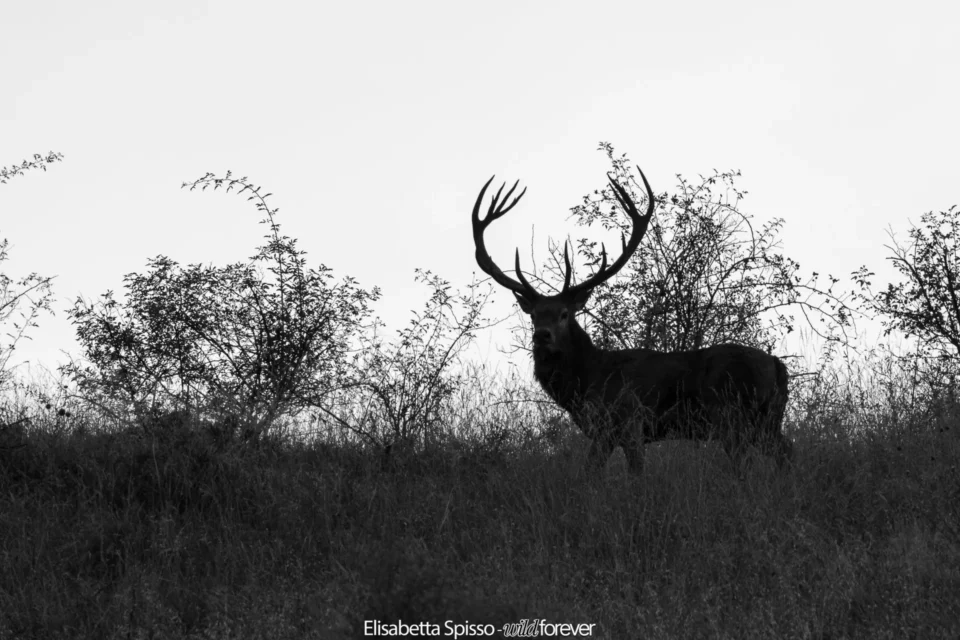 Abruzzo – fotografia di Elisabetta Spisso