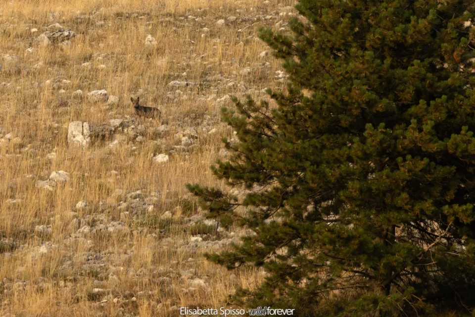 Abruzzo – fotografia di Elisabetta Spisso
