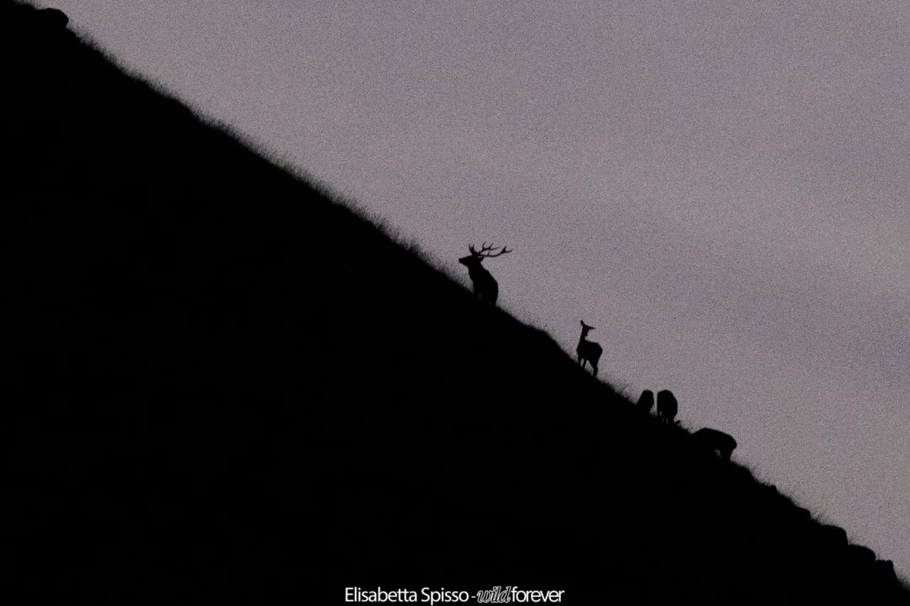 Abruzzo – fotografia di Elisabetta Spisso