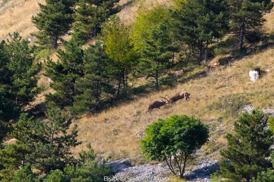 Abruzzo – fotografia di Elisabetta Spisso