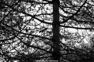 Abruzzo – fotografia di Elisabetta Spisso