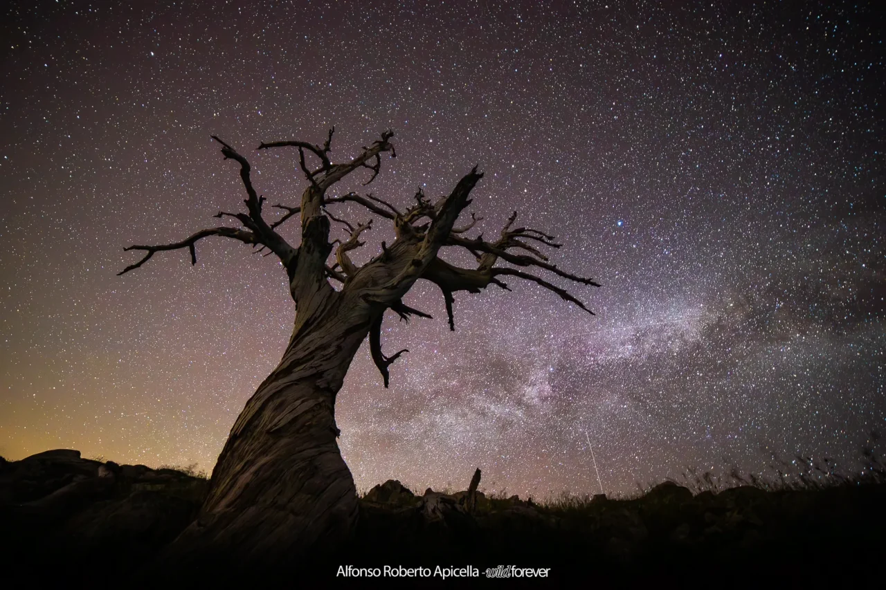 Astrofotografia – foto di Alfonso Apicella (6)