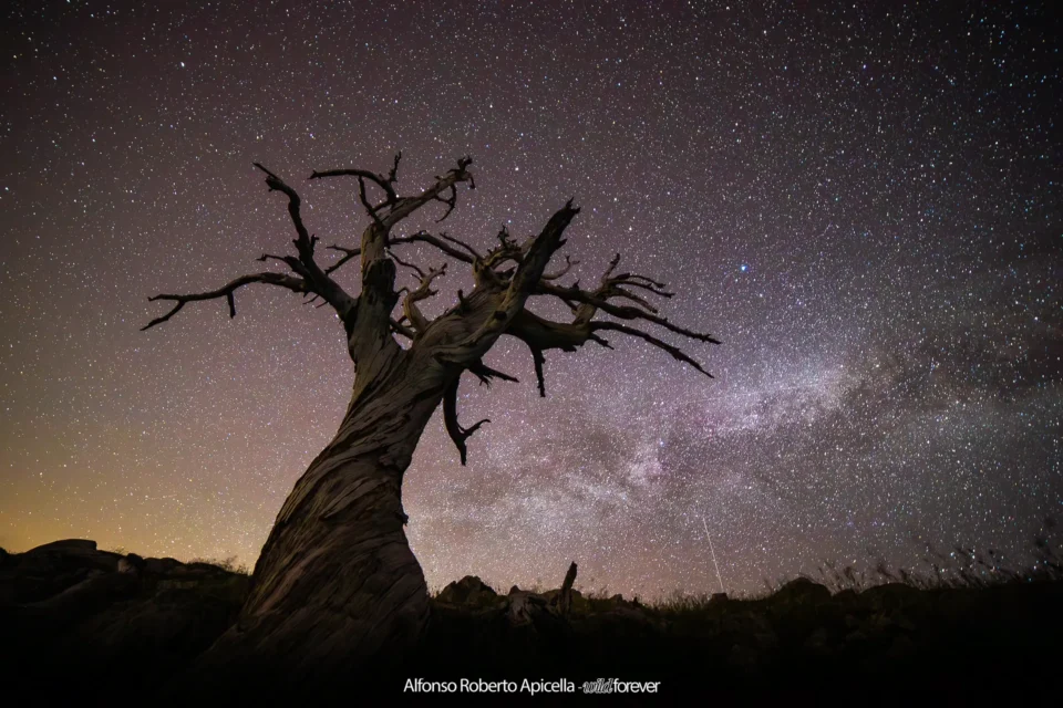 Astrofotografia – foto di Alfonso Apicella (6)