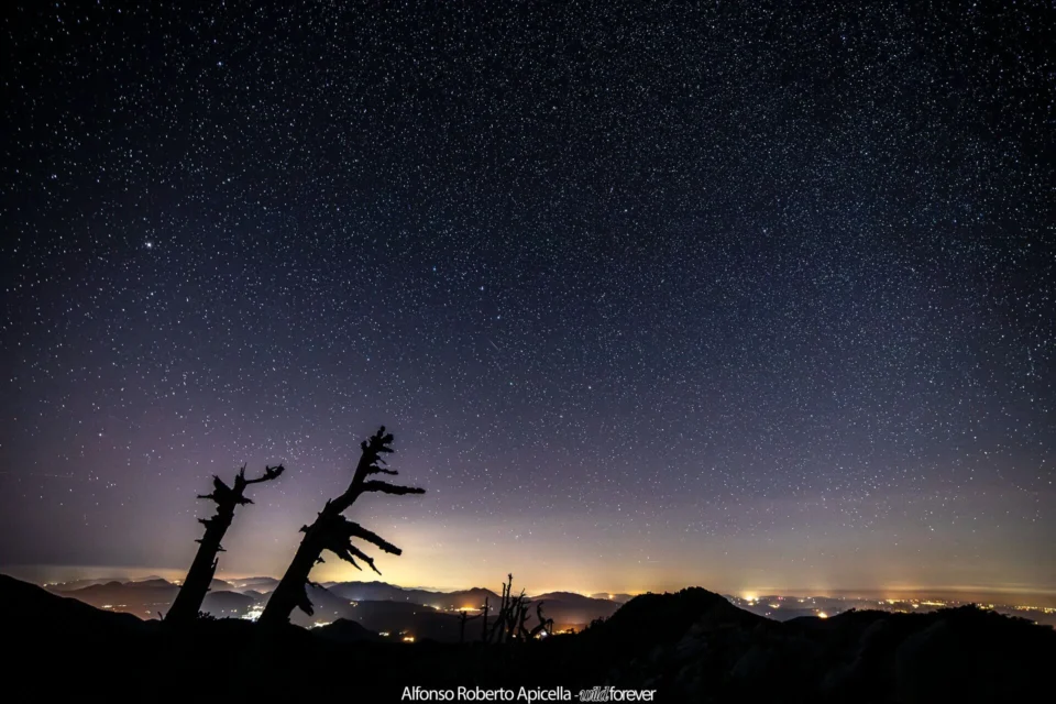 Astrofotografia – foto di Alfonso Apicella (14)