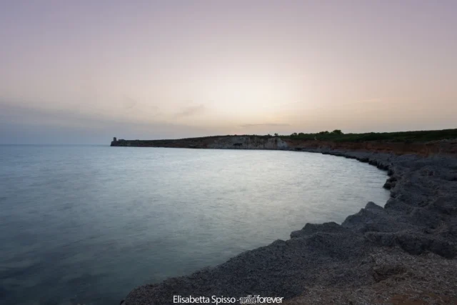 Sardegna – fotografia di Elisabetta Spisso