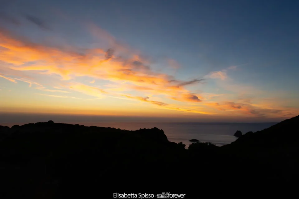 Sardegna – fotografia di Elisabetta Spisso