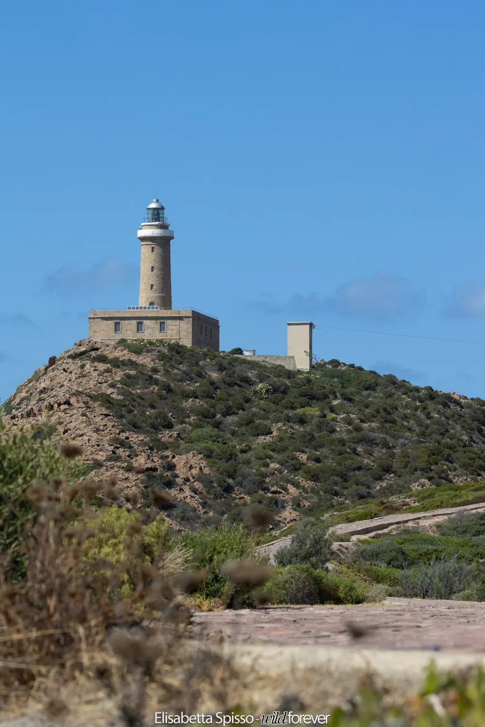 Sardegna – fotografia di Elisabetta Spisso