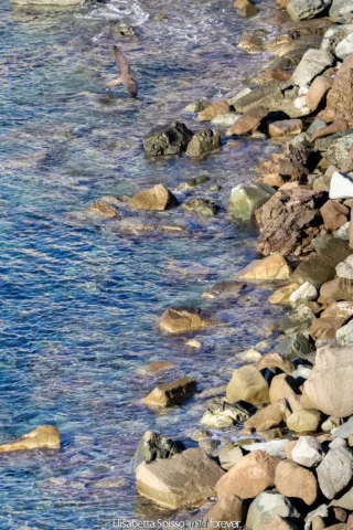 Sardegna – fotografia di Elisabetta Spisso