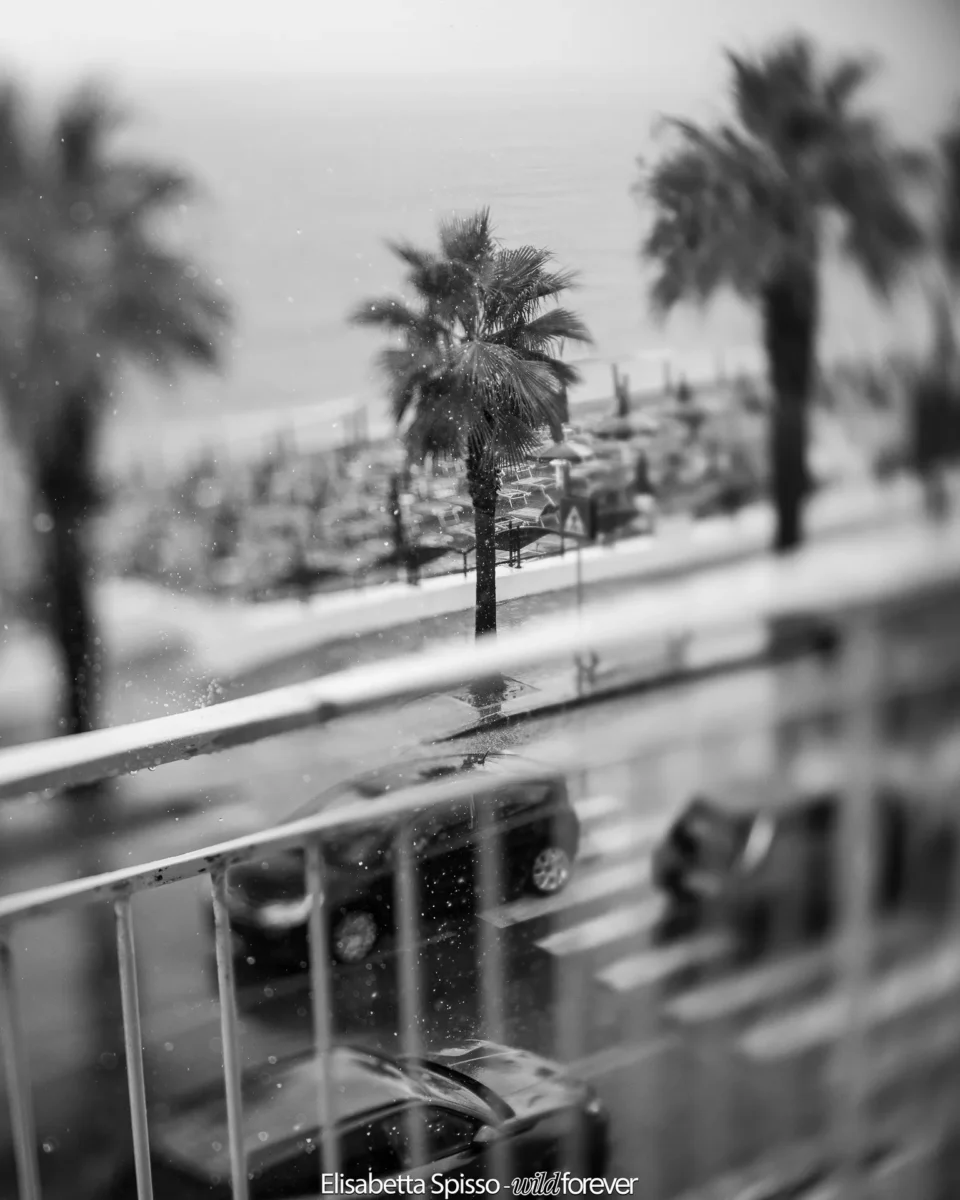Bianco e nero – fotografia di Elisabetta Spisso