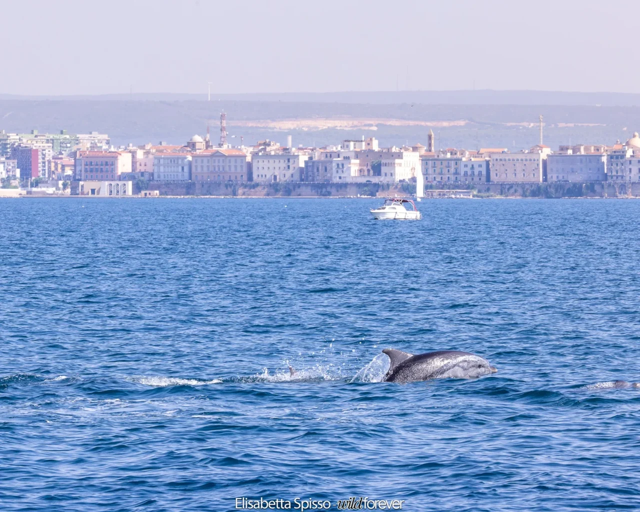 Taranto – fotografia di Elisabetta Spisso