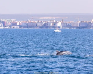 Taranto – fotografia di Elisabetta Spisso