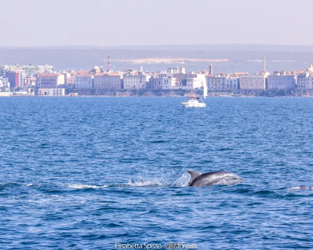 Taranto – fotografia di Elisabetta Spisso