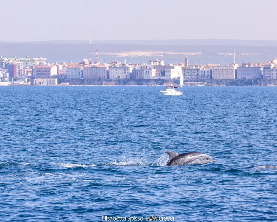 Taranto – fotografia di Elisabetta Spisso