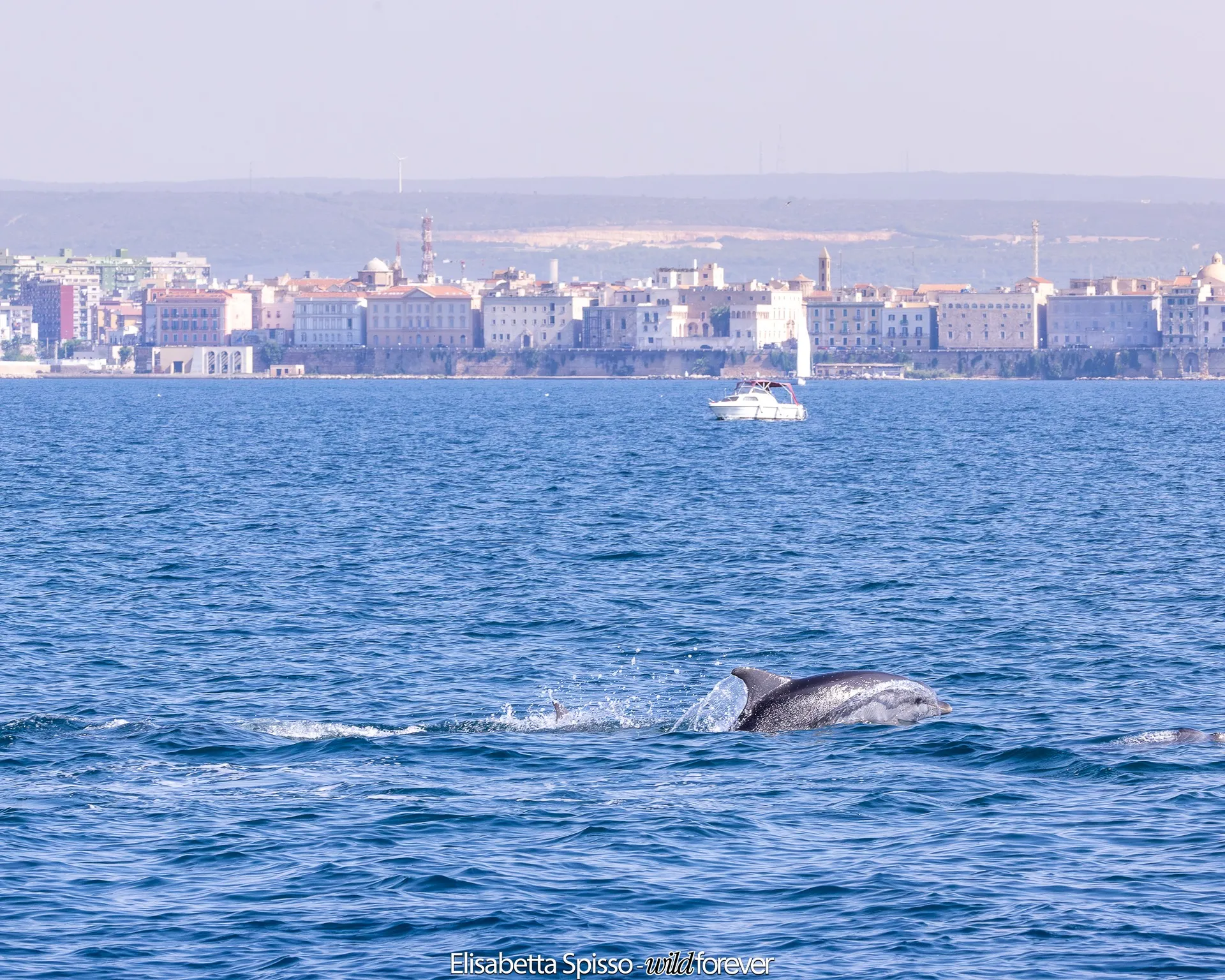 Taranto – fotografia di Elisabetta Spisso