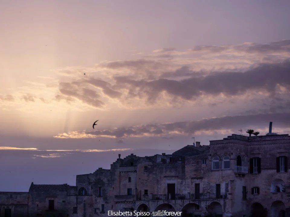 Matera – fotografia di Elisabetta Spisso