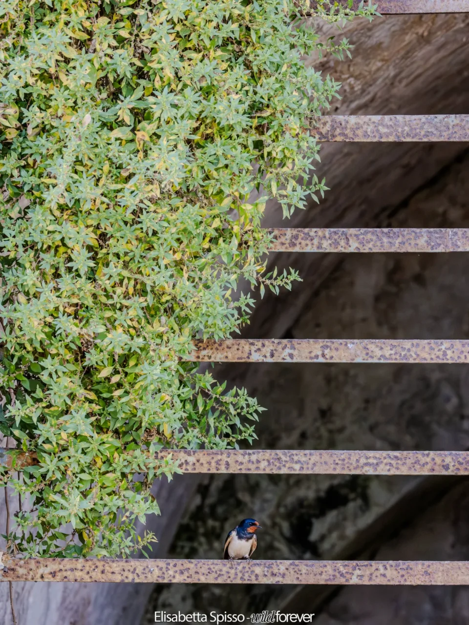 Matera – fotografia di Elisabetta Spisso