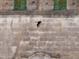 Matera – fotografia di Elisabetta Spisso