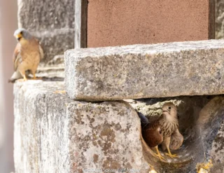 Matera – fotografia di Elisabetta Spisso