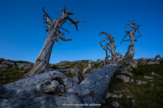 Paesaggio – foto di Alfonso Apicella (13)