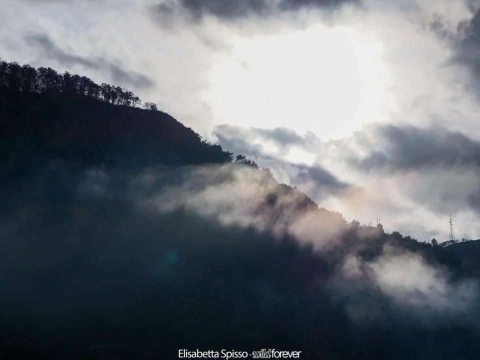 Altri viaggi – fotografia di Elisabetta Spisso