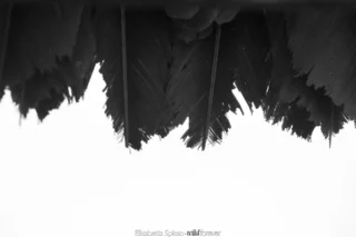 Bianco e nero – fotografia di Elisabetta Spisso