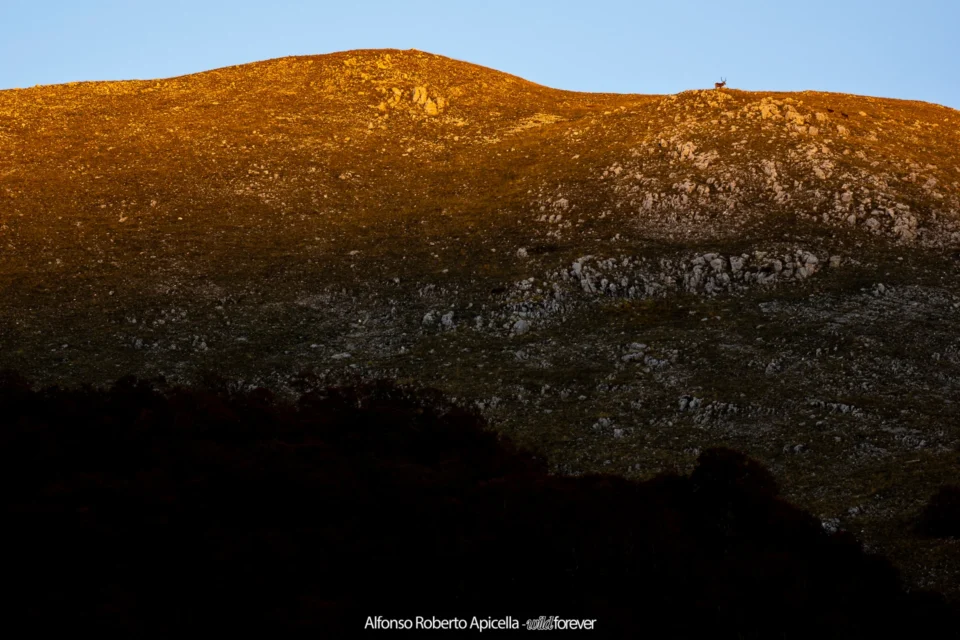 Cresta di montagna nell'ultima luce dorata del tramonto – Abruzzo, autunno 2026 – foto di Alfonso Apicella