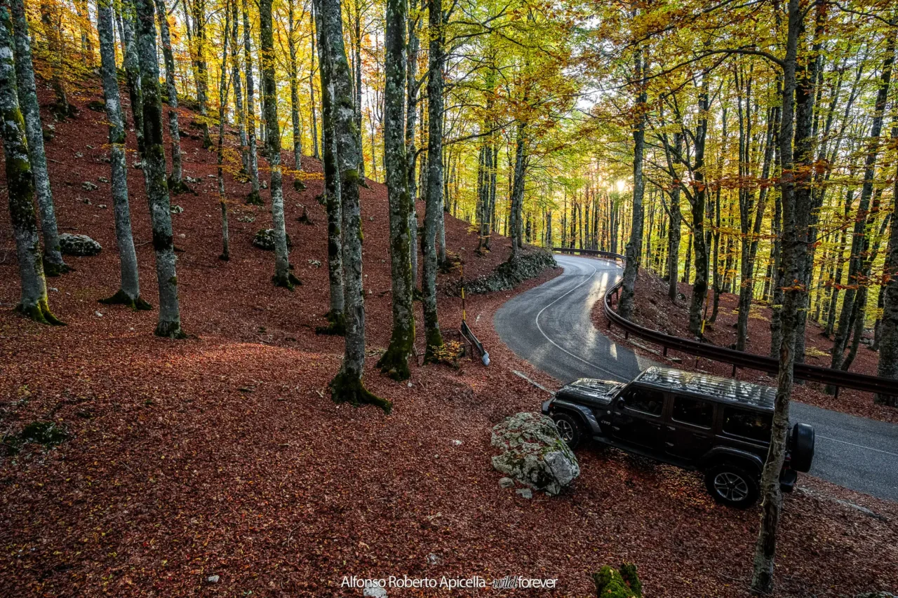 Fuoristrada su una strada tra le foglie rosse del bosco – Abruzzo, autunno 2026 – foto di Alfonso Apicella