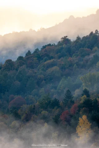 Colline boscose nella nebbia al mattino – Abruzzo, autunno 2026 – foto di Alfonso Apicella