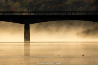 Ponte sul lago nella nebbia dorata dell'alba – Abruzzo, autunno 2026 – foto di Alfonso Apicella